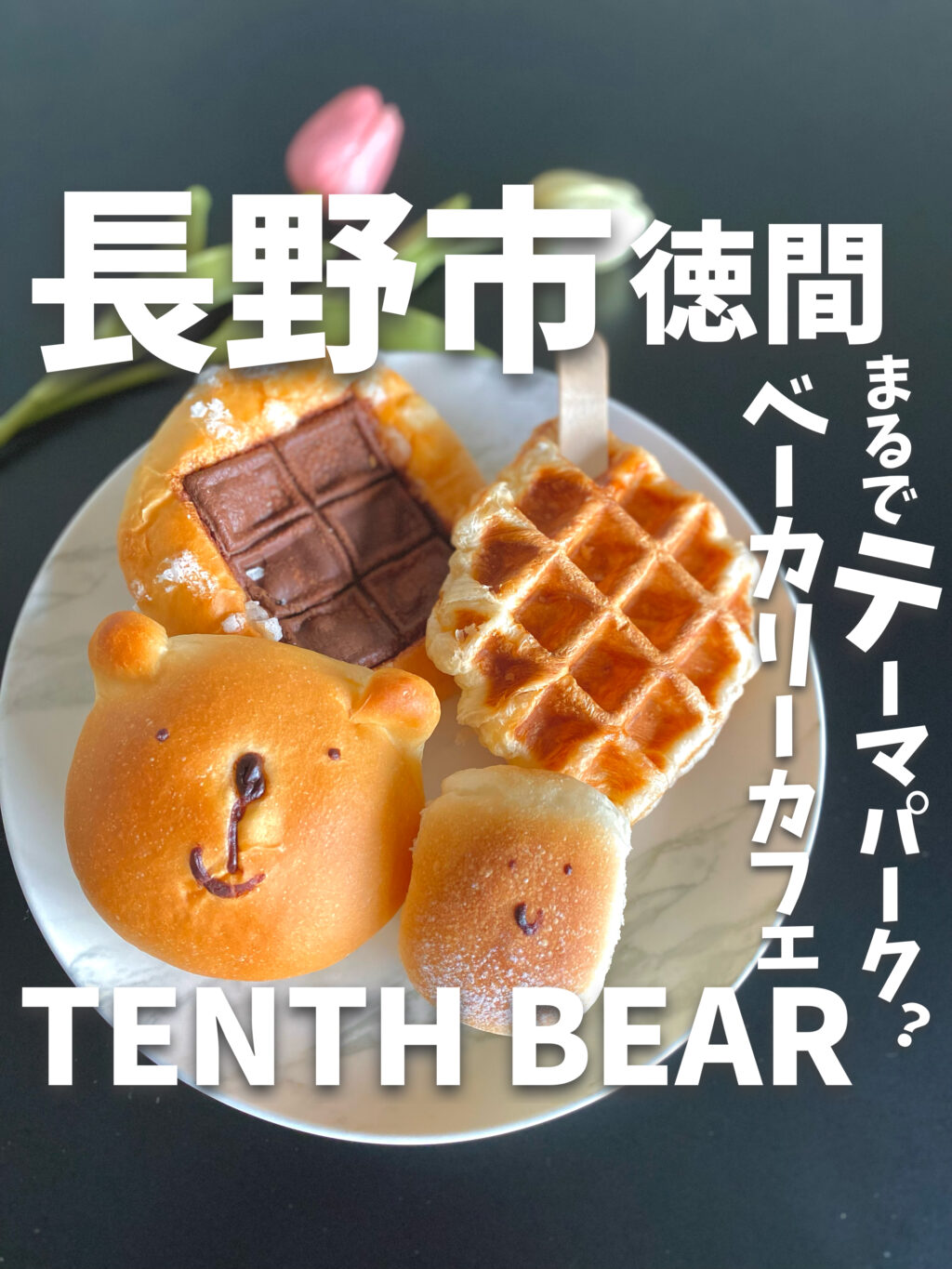 長野市【TENTH BEAR (テンスベア) 】徳間 まるでテーマパーク