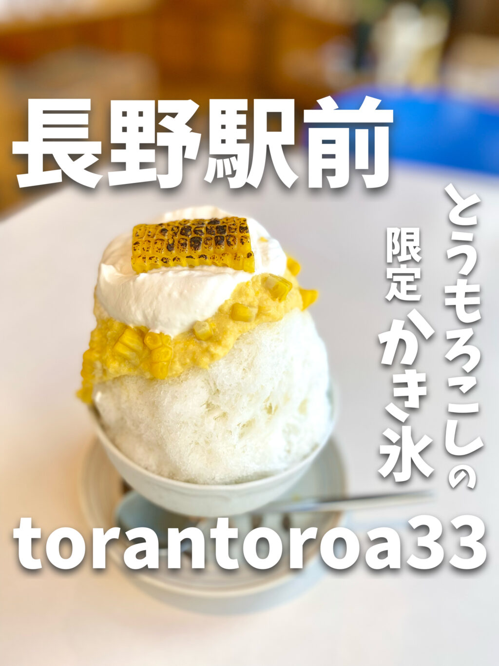 torantoroa33