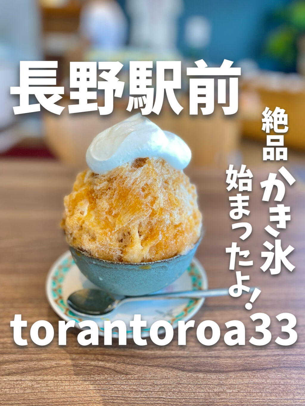 torantoroa33