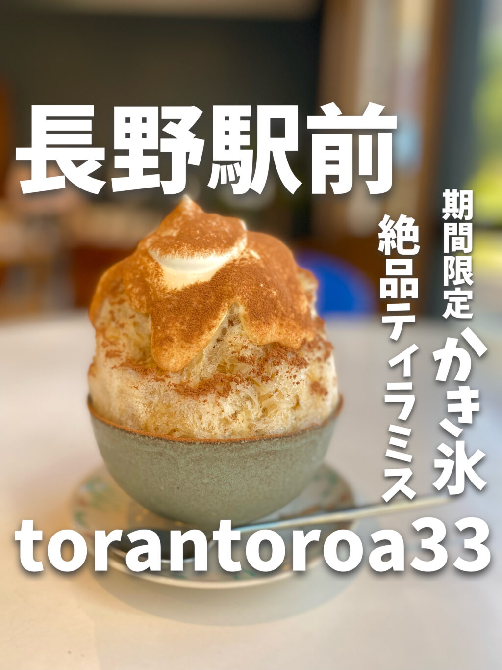 torantoroa33